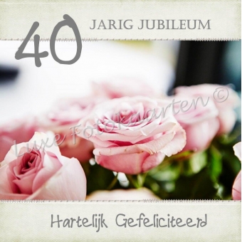 Jubileum - 40 jaar rose rozen